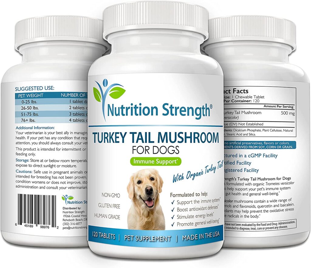 Turkey tail dosage on sale for dogs with cancer